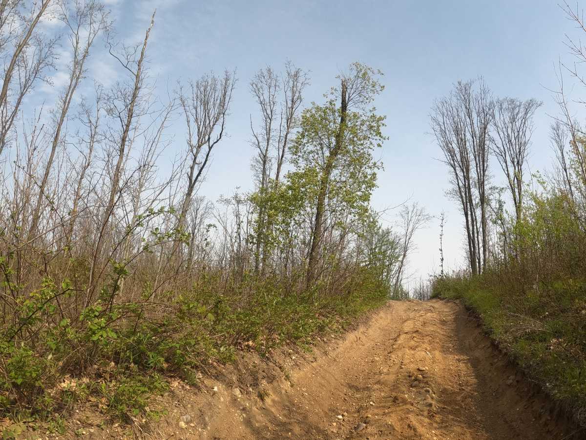 Evart Overlook trail photo