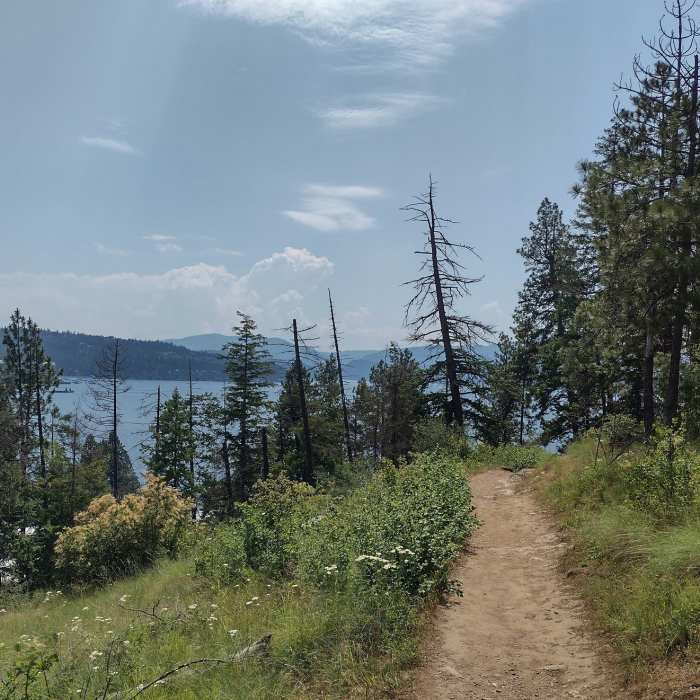 Near Tubbs Hill Main Trail