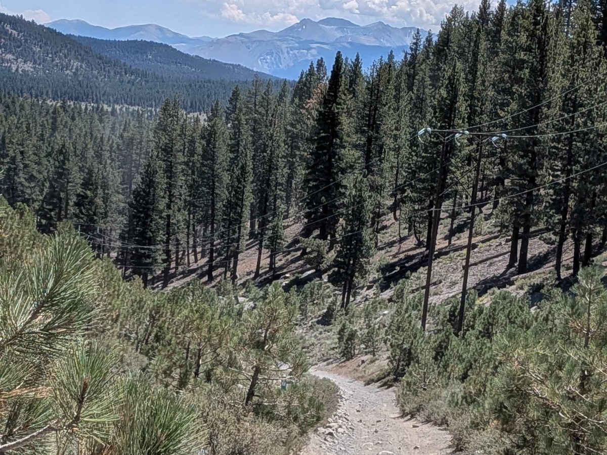 Lower Deadman Bridge - FS 3S26 photo 5