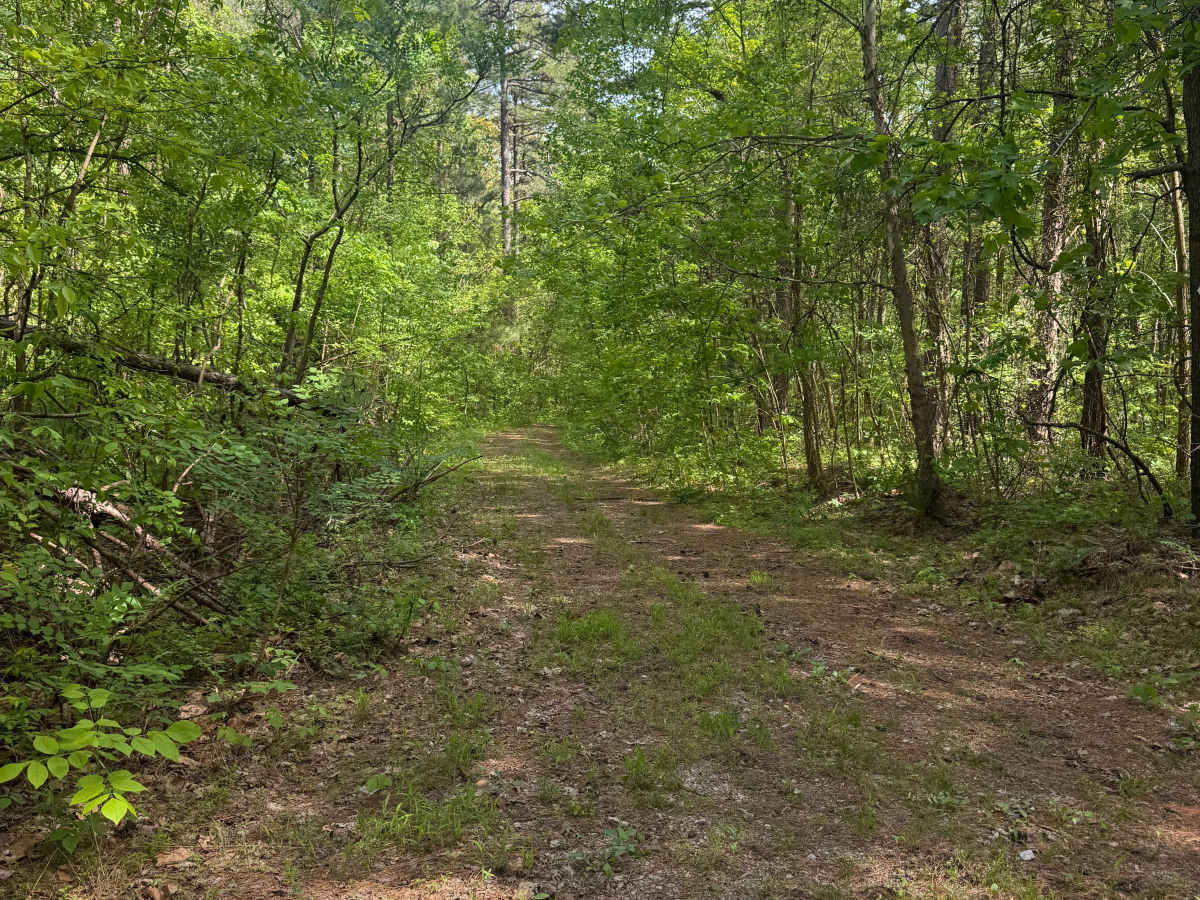 River to River Trail photo 3