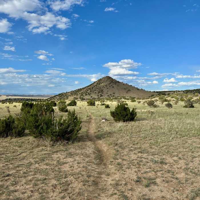 Near CDT: New Mexico Section 23