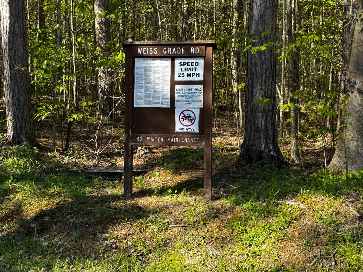 Weiss Grade Road trail photo