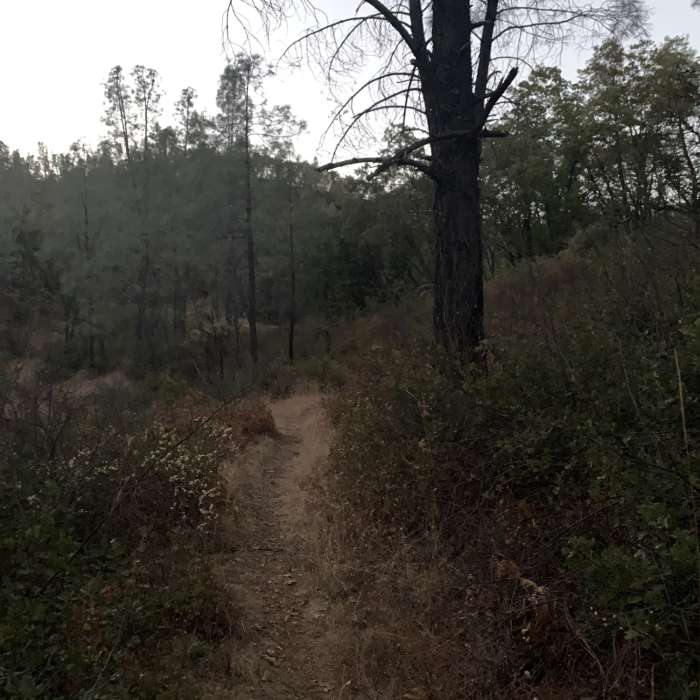 Near Waters Gulch Trail