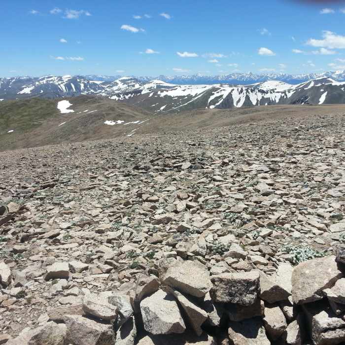 Near Mt. Bross Trail