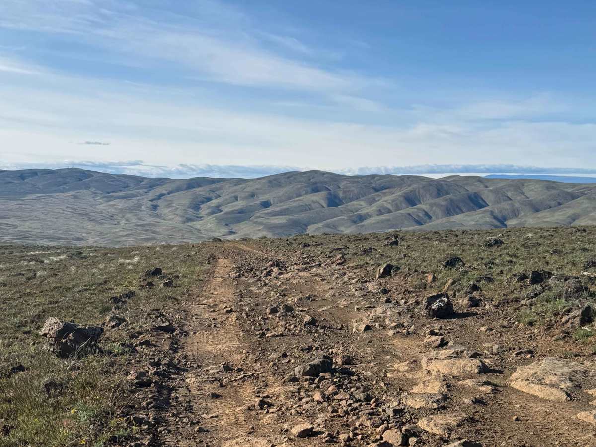 Buffalo Ridge Road photo 4