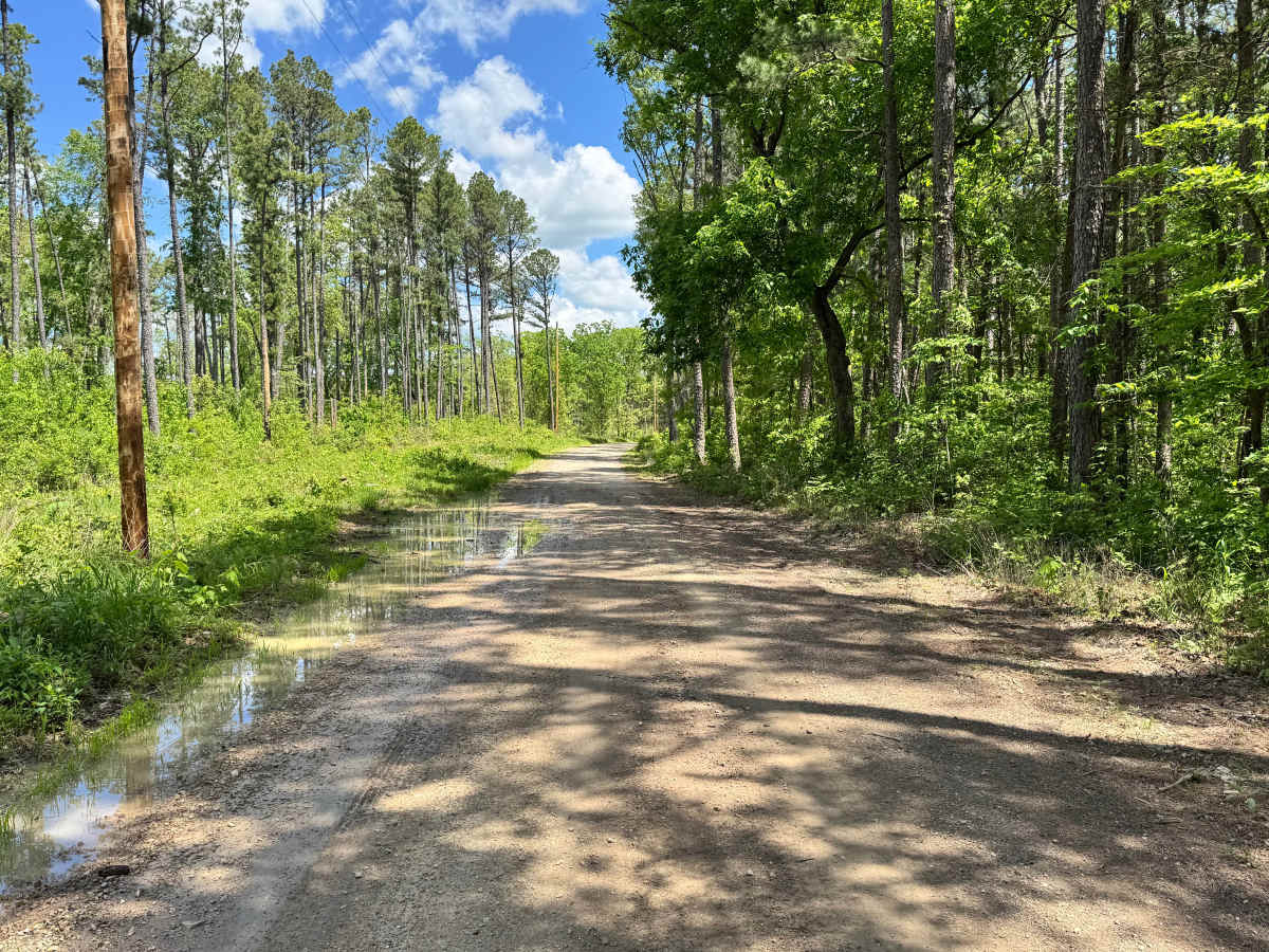 County Road 6630 photo 4