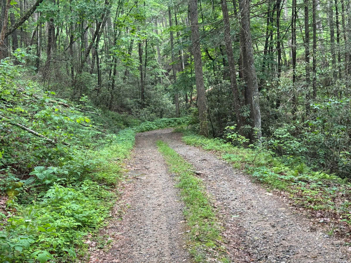 Dixon Branch - FS 88 photo 2