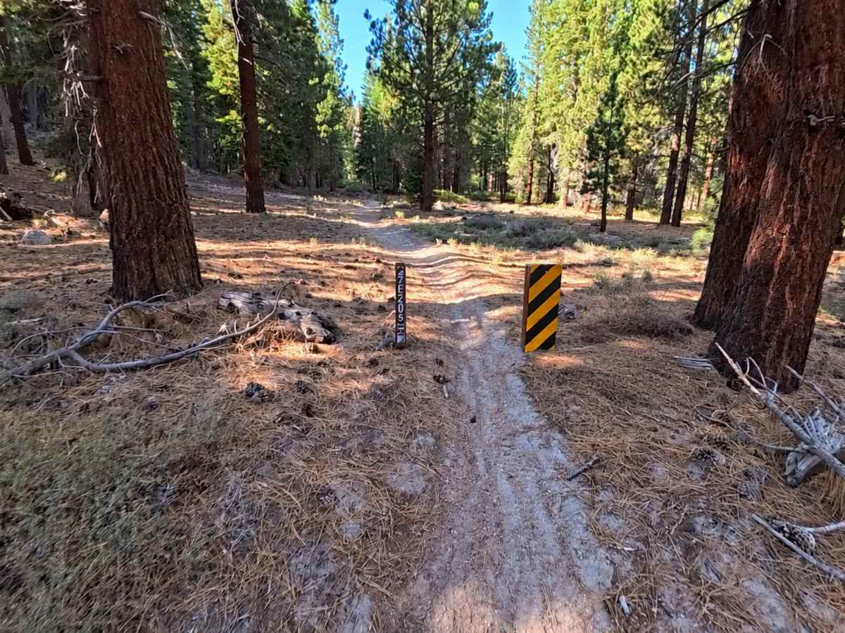 FS 27E205 trail photo