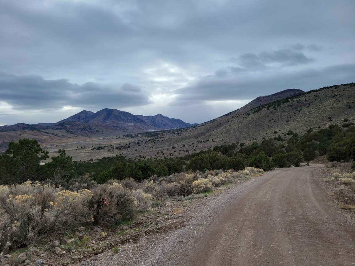Homansville Pass Road photo 5