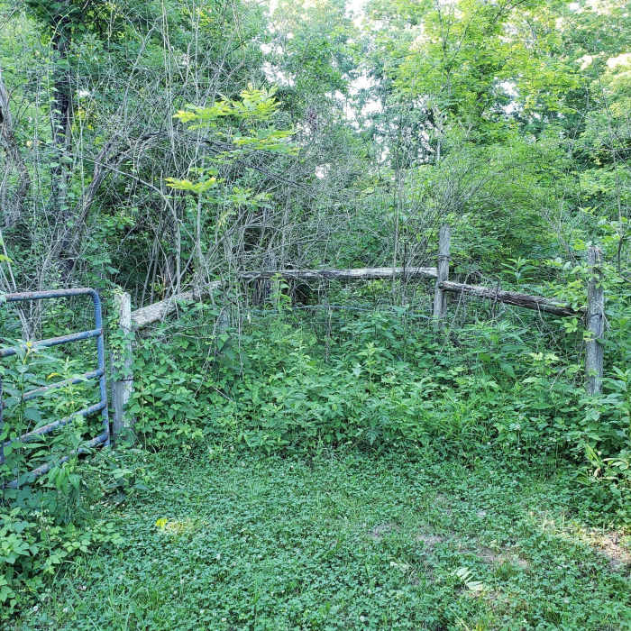 Near Beaver Trail