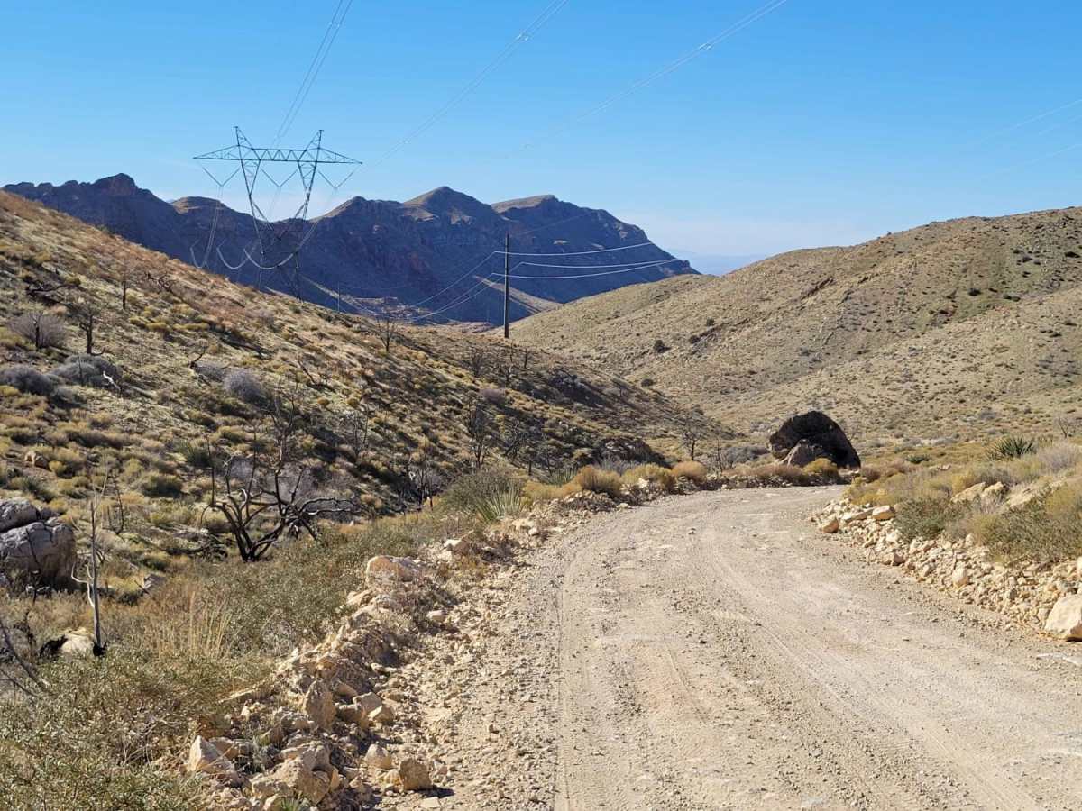 Joshua Tree Road photo 2