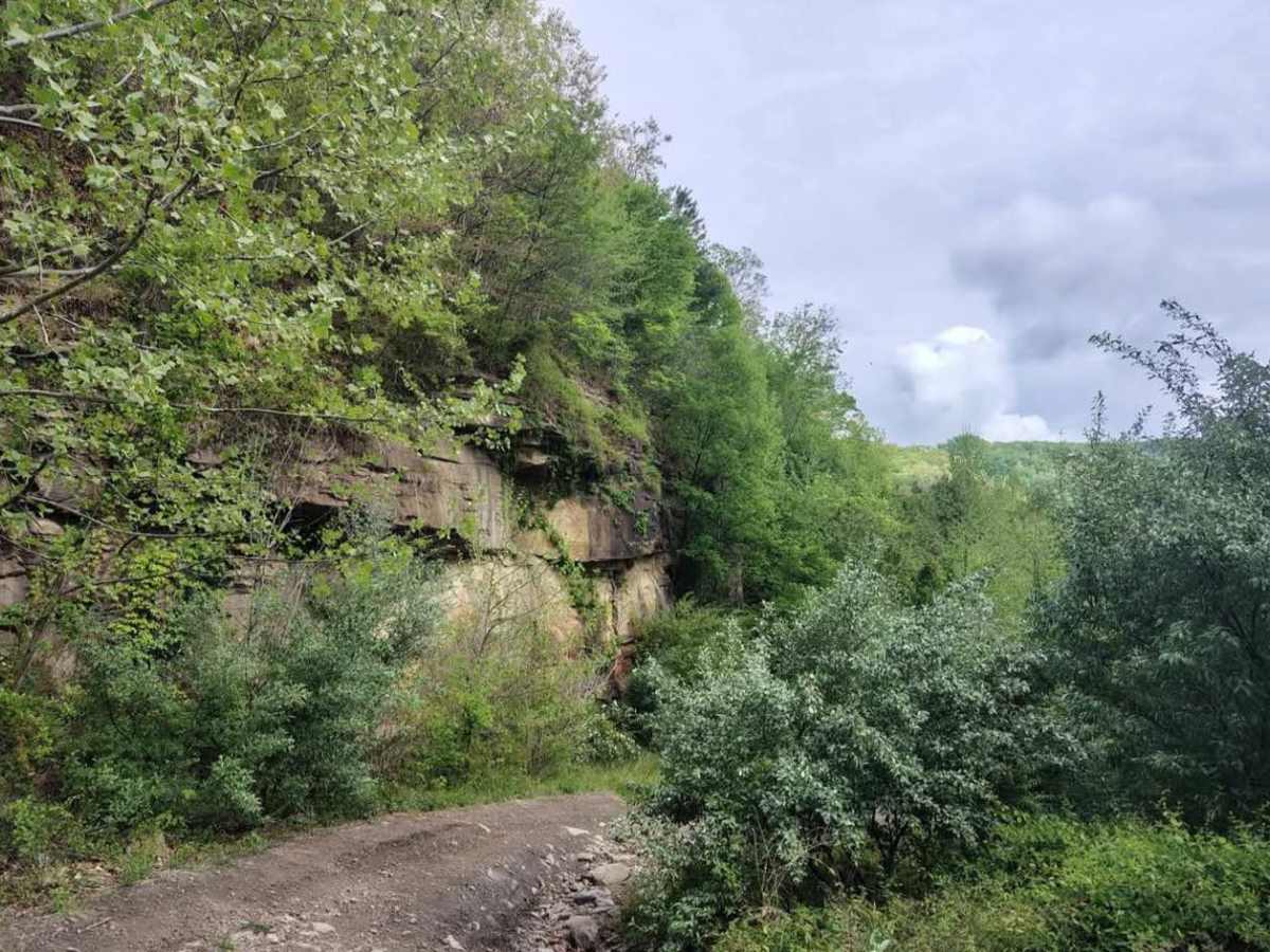 Four Seam Ridge photo 3