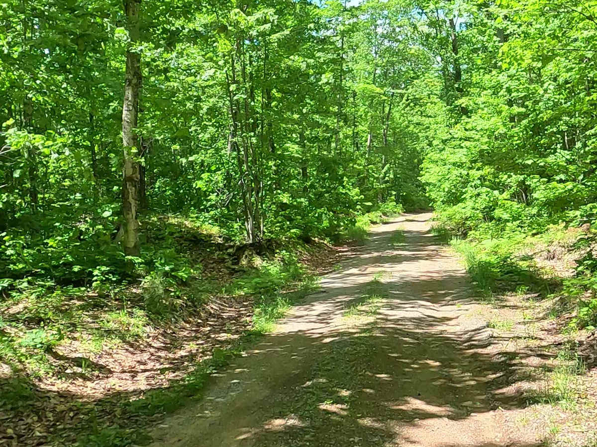 Little Pup Creek photo 3