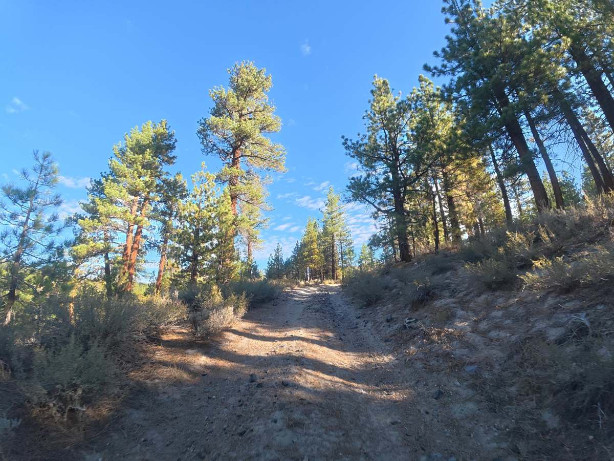 Antelope Loop - FS 3S39 photo 5