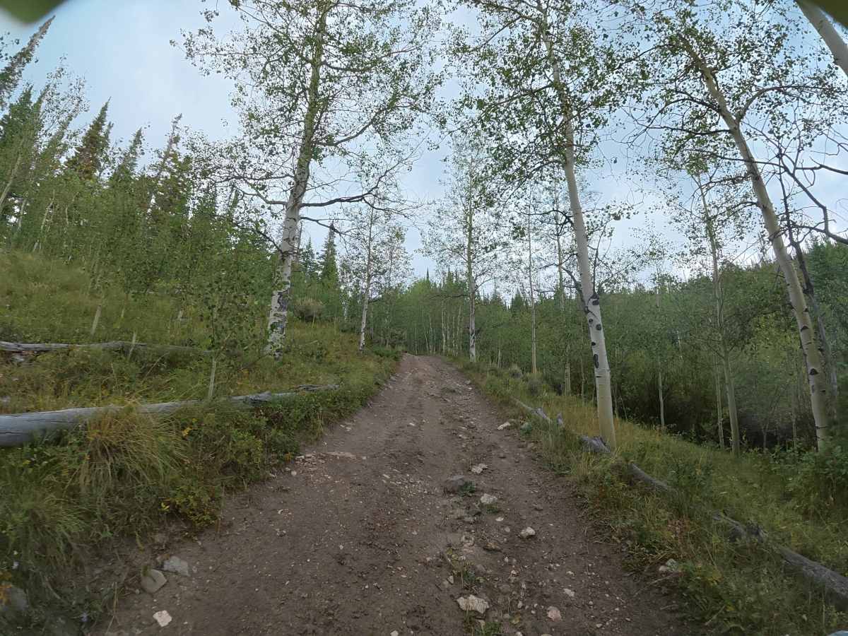 Long Lake Road photo 3