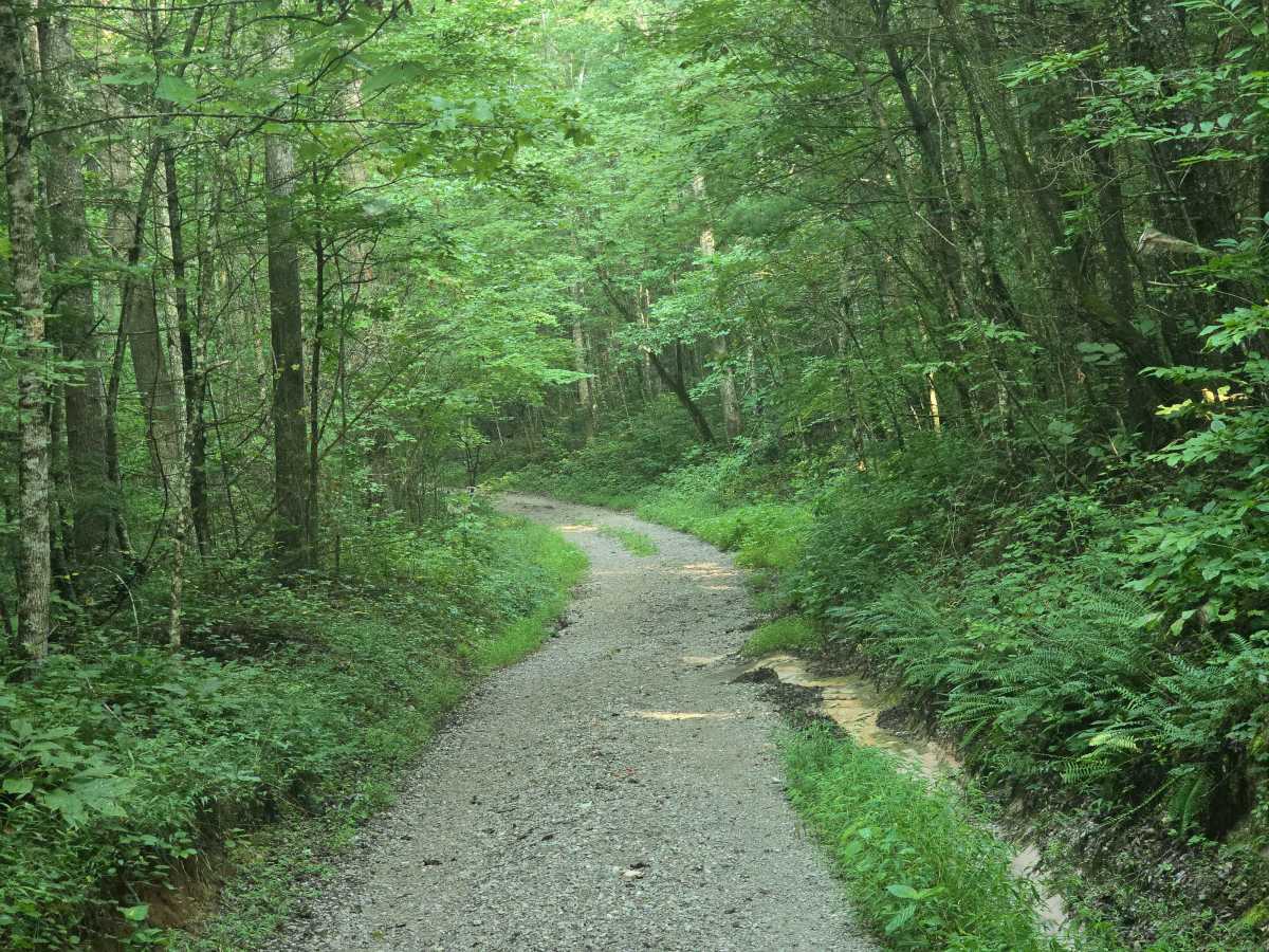 Gernt Road photo 2