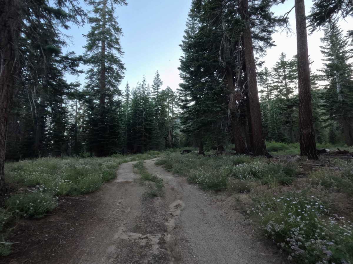Willow Creek Road - FS 31051D photo 2