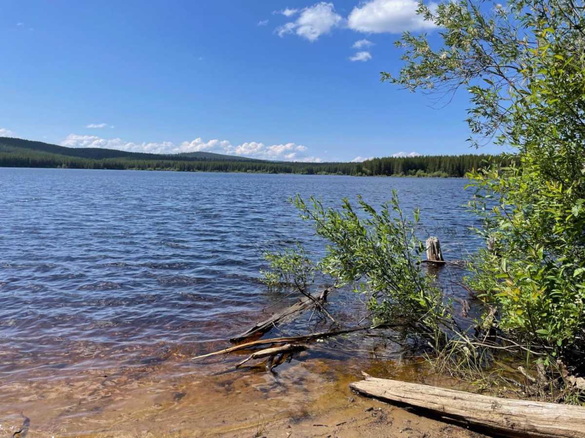 Grizzly FSR to Haddo Lake photo 4