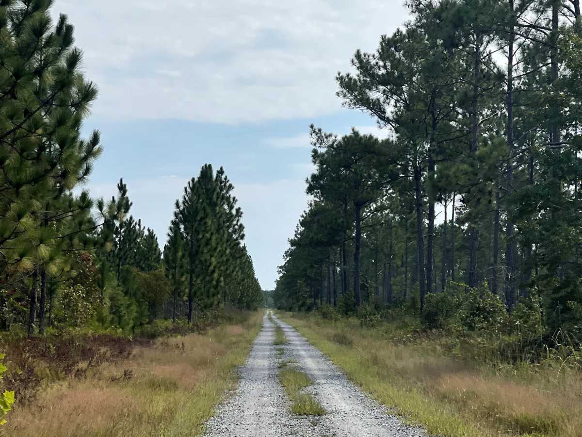 McCoy Road photo 2