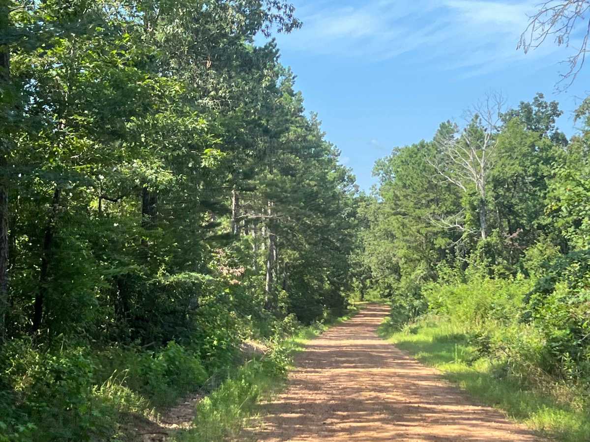 Liberty Springs Road  photo 2