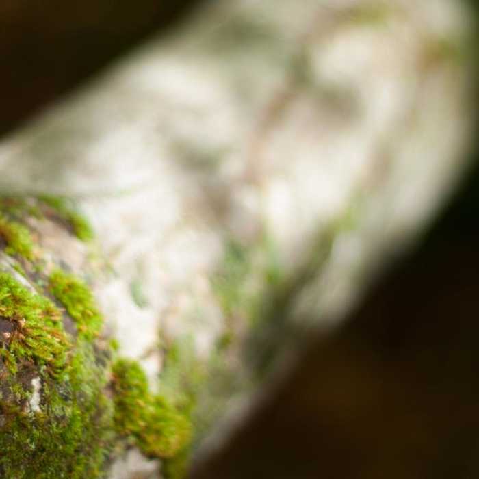 Near Indian Head + Fishhawk Cliffs Near Indian Head + Fishhawk Cliffs