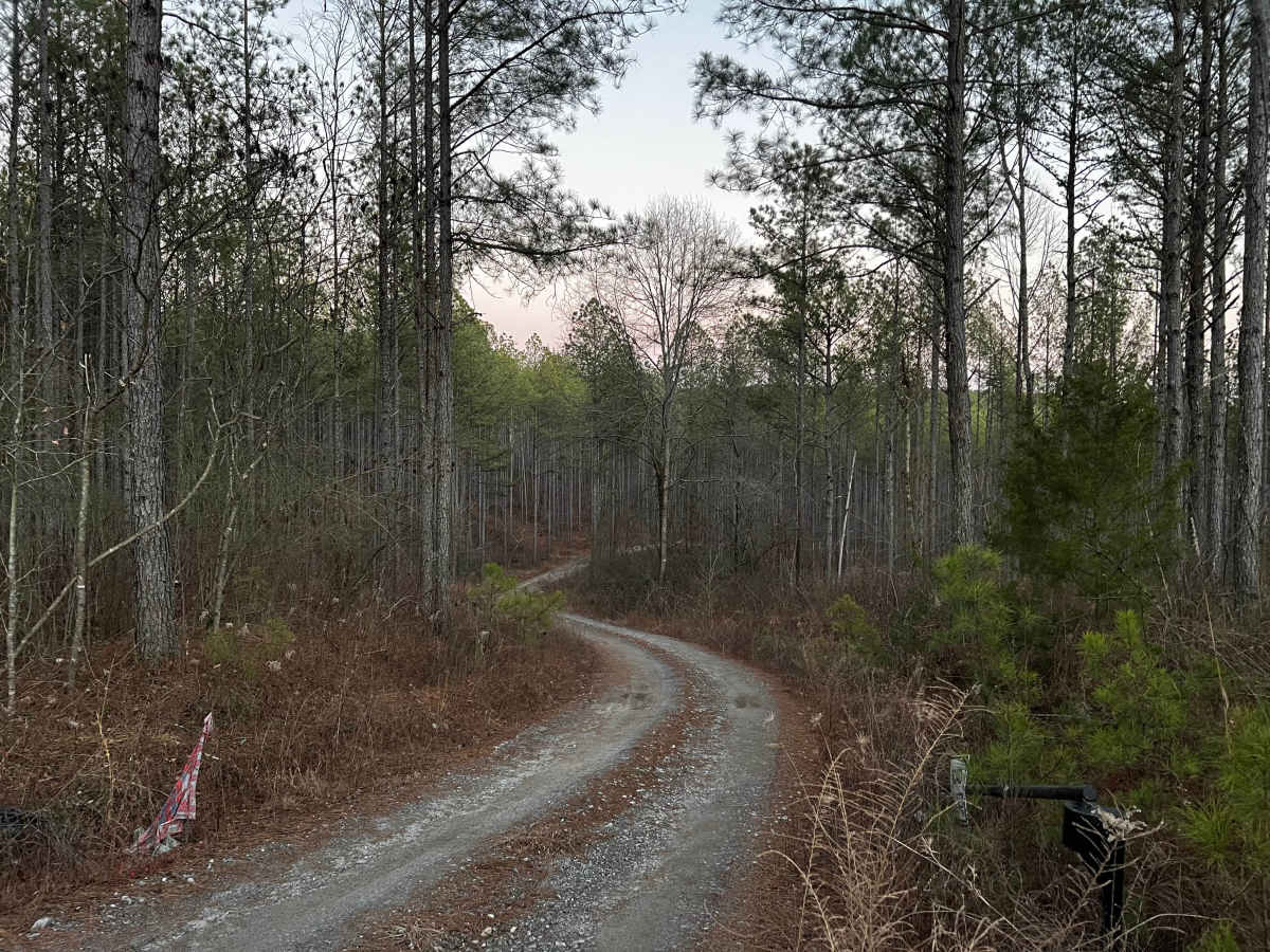 Etowah River Access photo 3