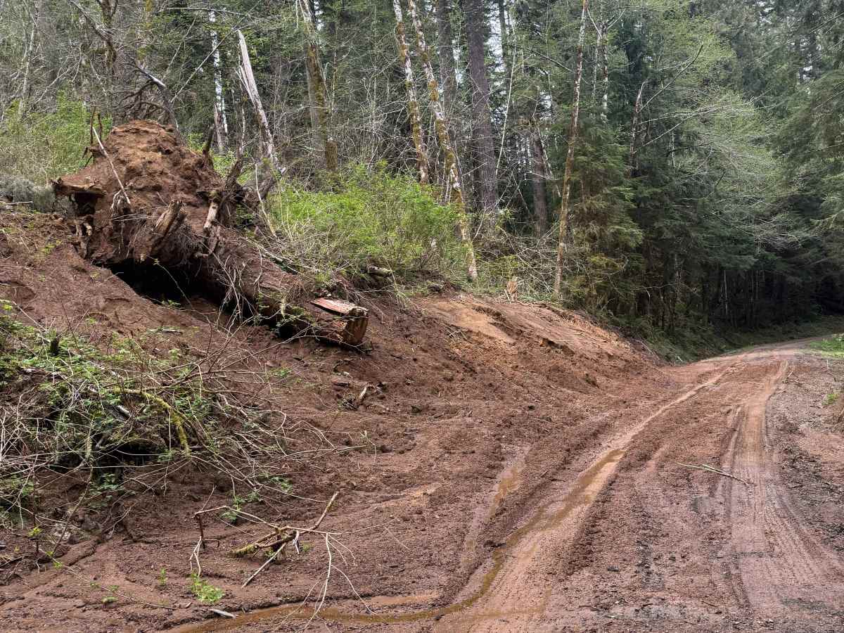 Nook Road photo 4