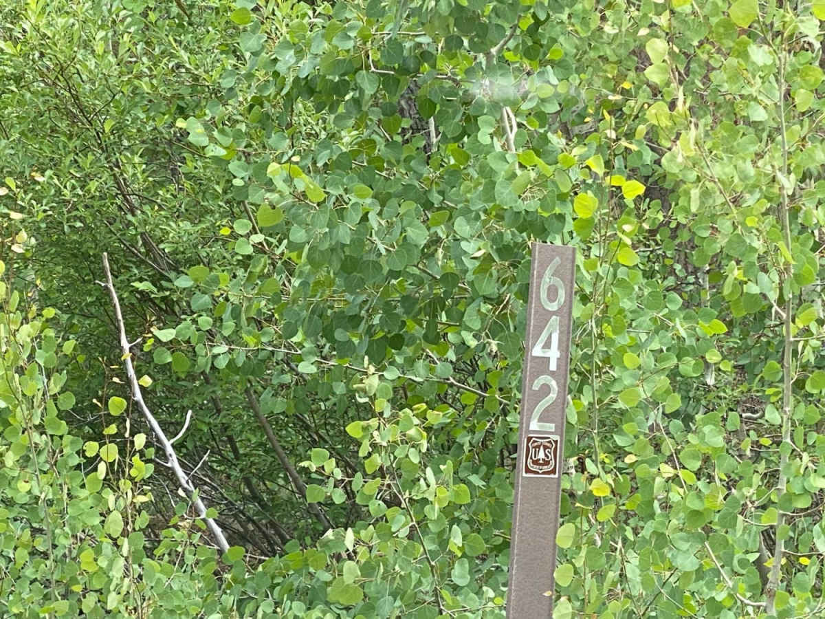 Sandbench-Fr Rd 642 trail photo