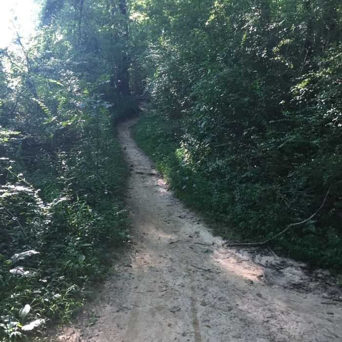 Near Yellow Trail