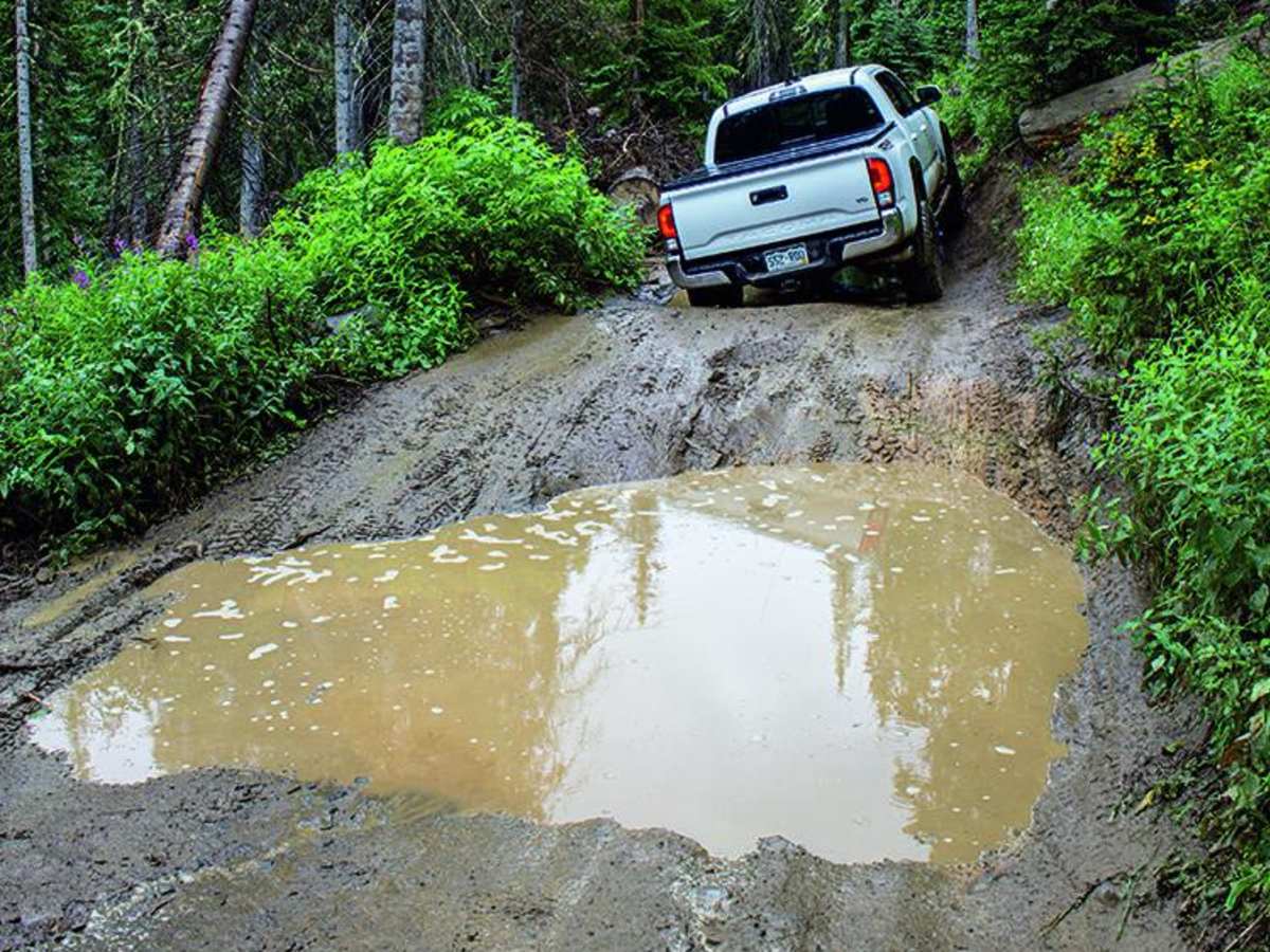 Transfer Trail photo 5