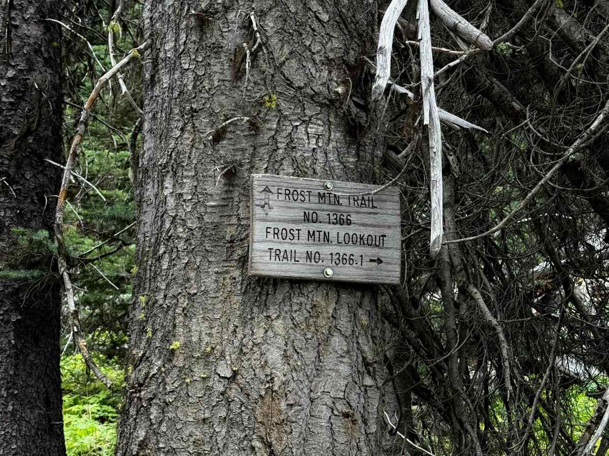Frost Mountain Lookout - 1366.1 trail photo