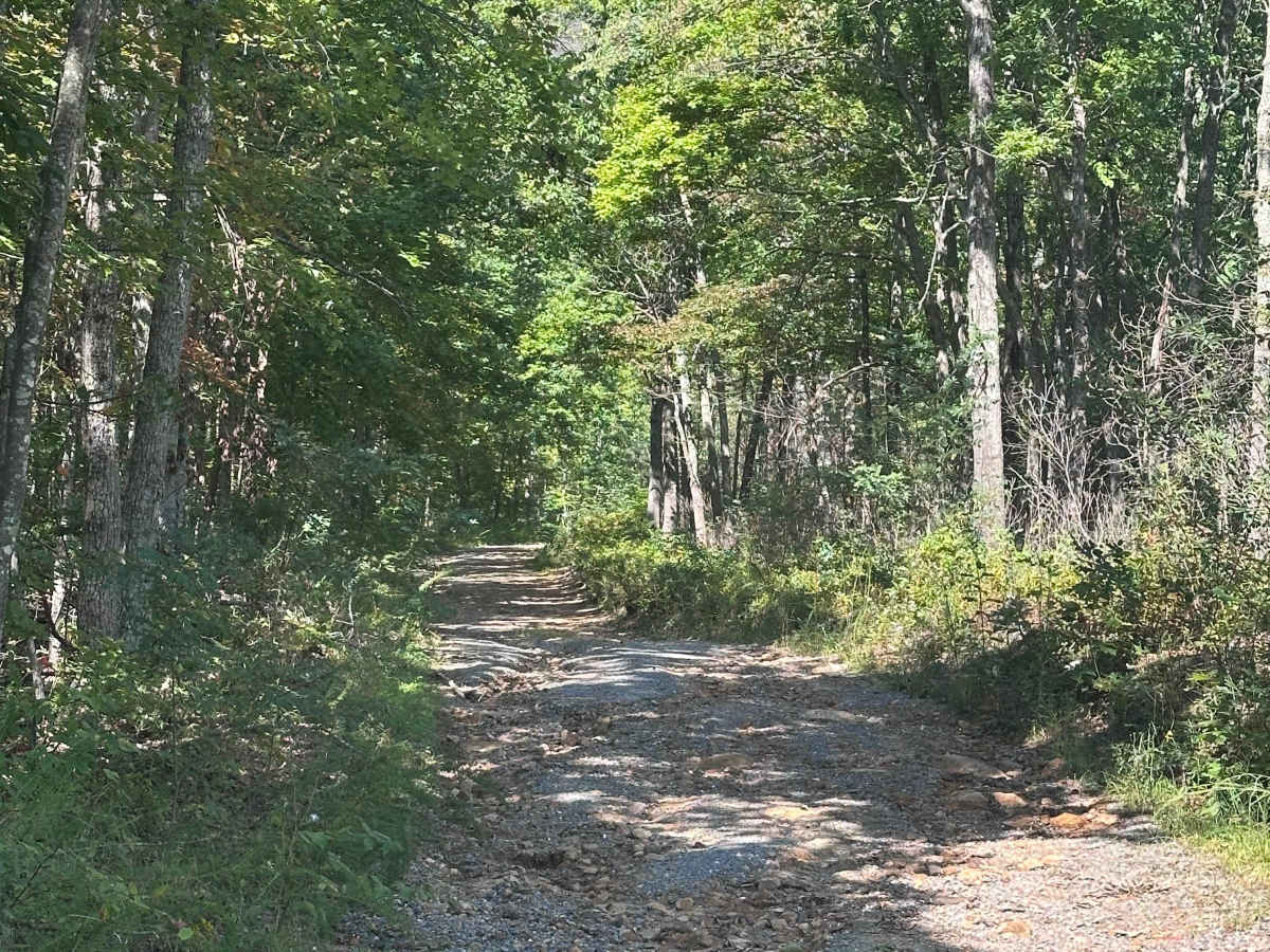 White Oak Flat photo 2