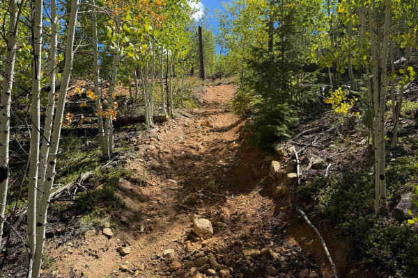 Ridge Trail 734 