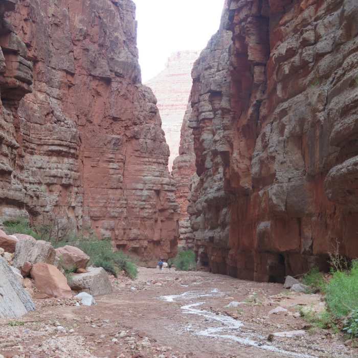 Near Saddle Canyon