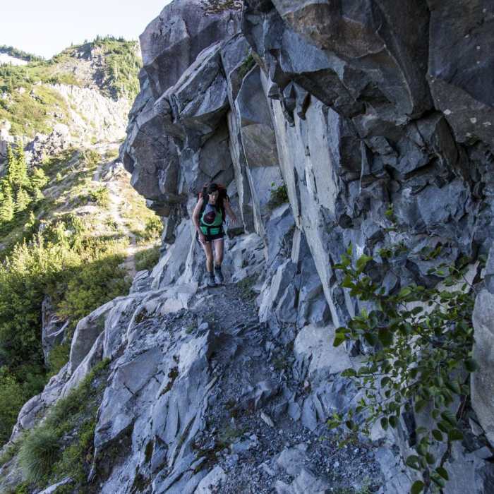 Near Whittier Ridge Trail from Norway Pass