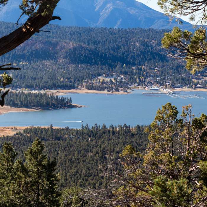 Big Bear Marina Near Cougar Crest Trail