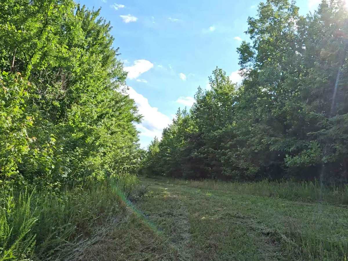 Q46A trail photo