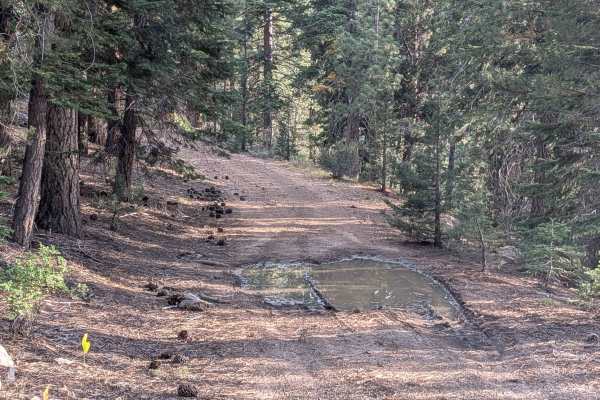 High Peak Road - FS 31050