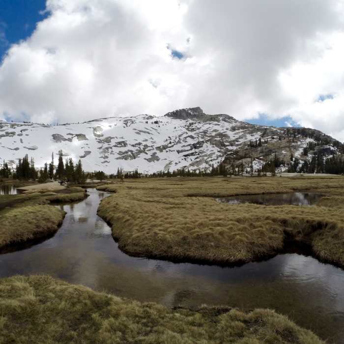 Near Lower Cathedral Lake Trail