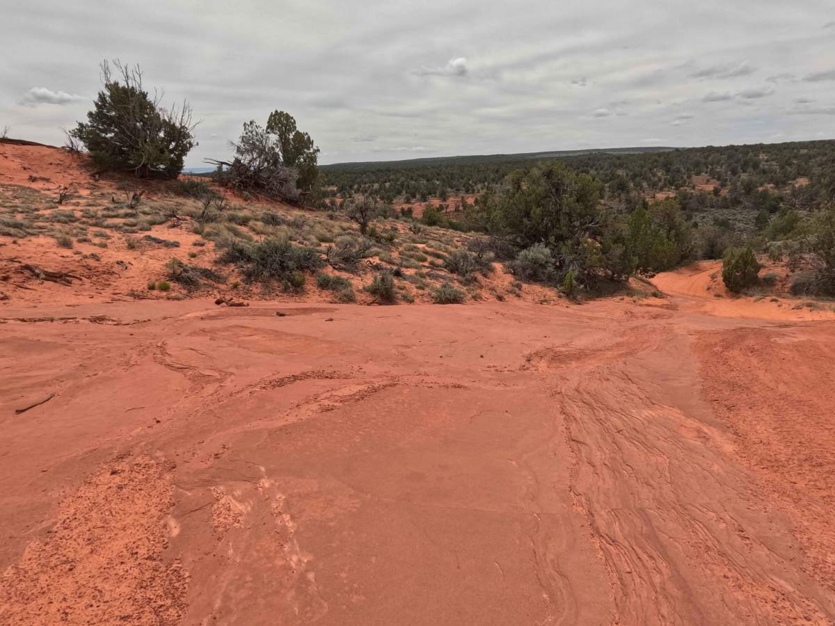 BLM 61H trail photo