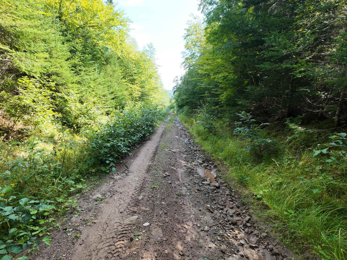 Woodworth Settlement Road photo 6