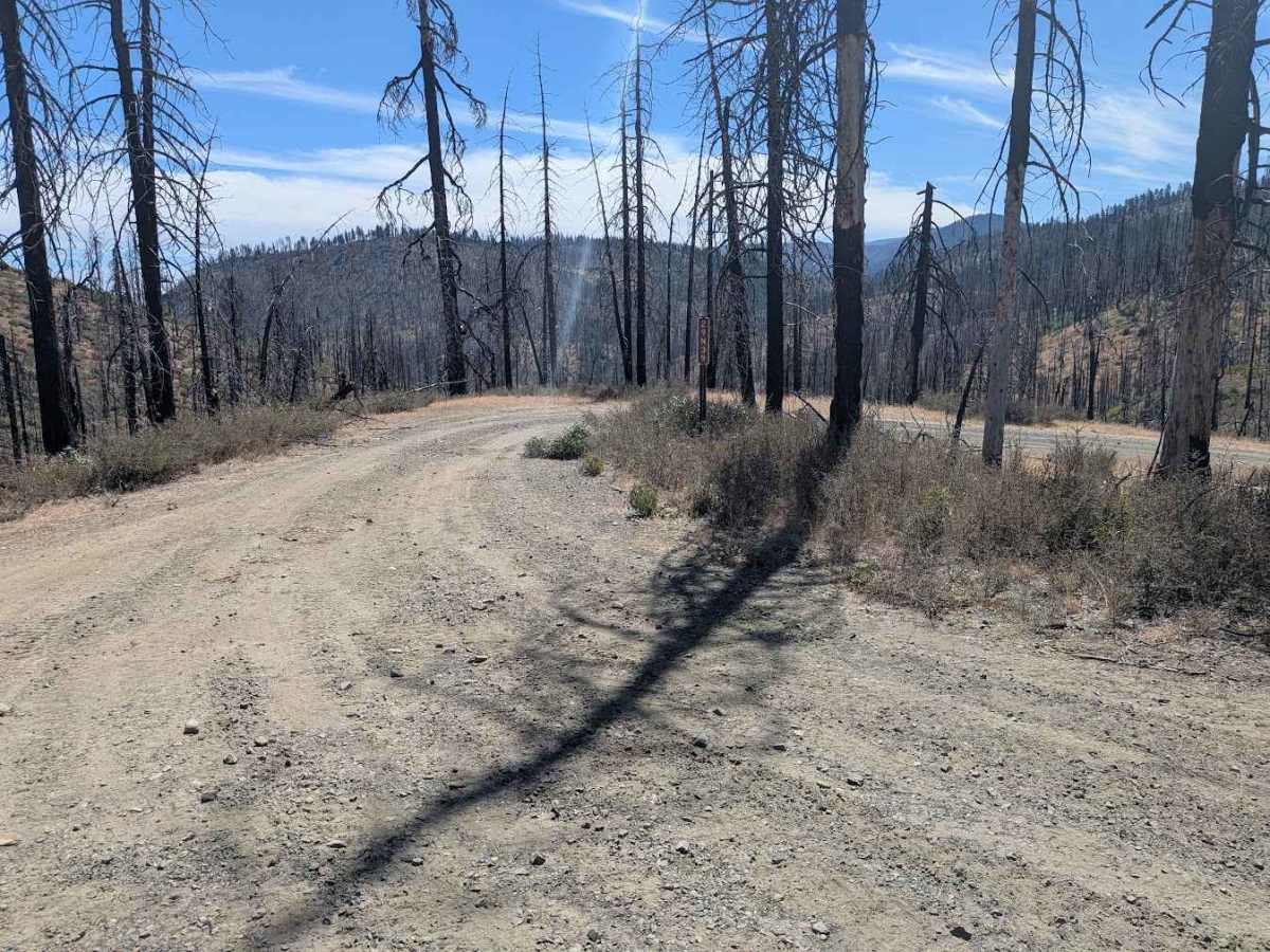 Strong Road - FS 29N39 trail photo