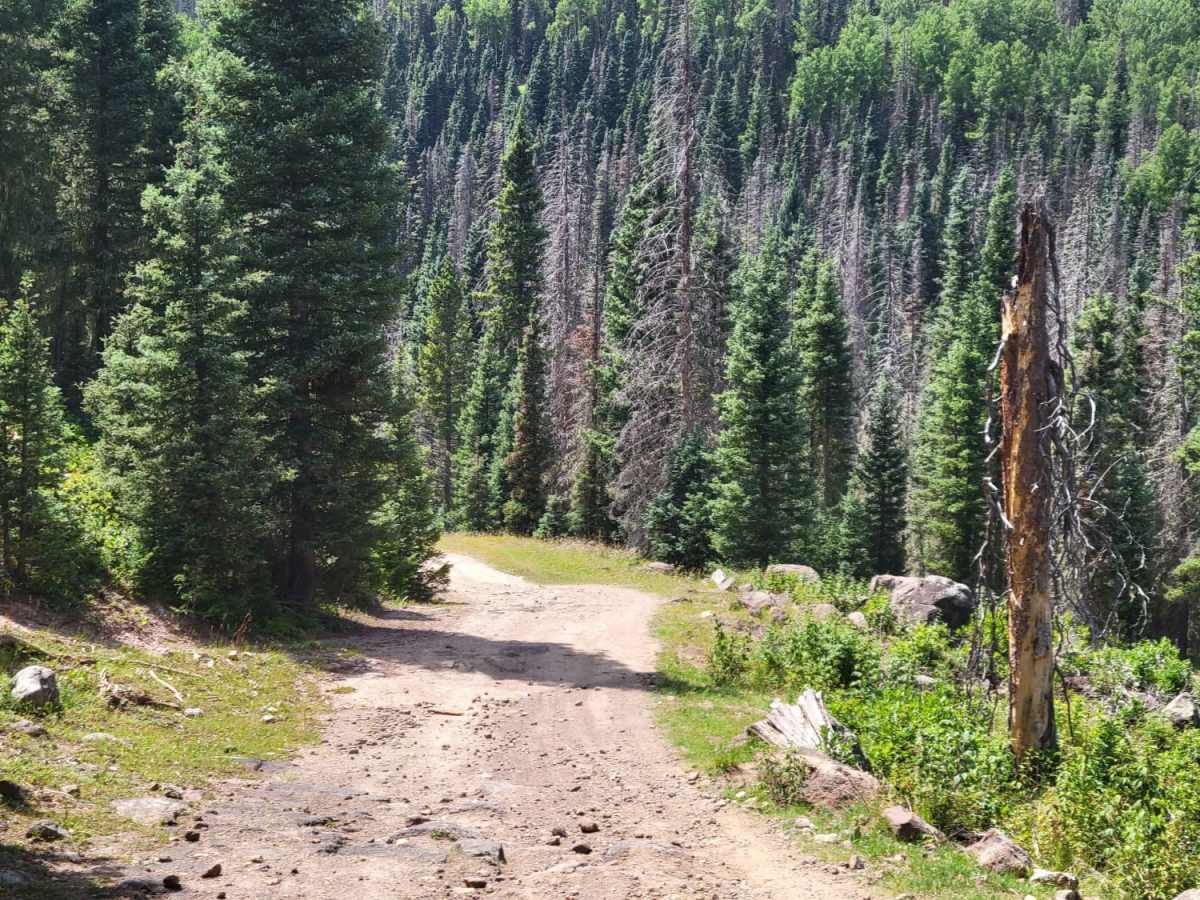 Double Creek Loop photo 6