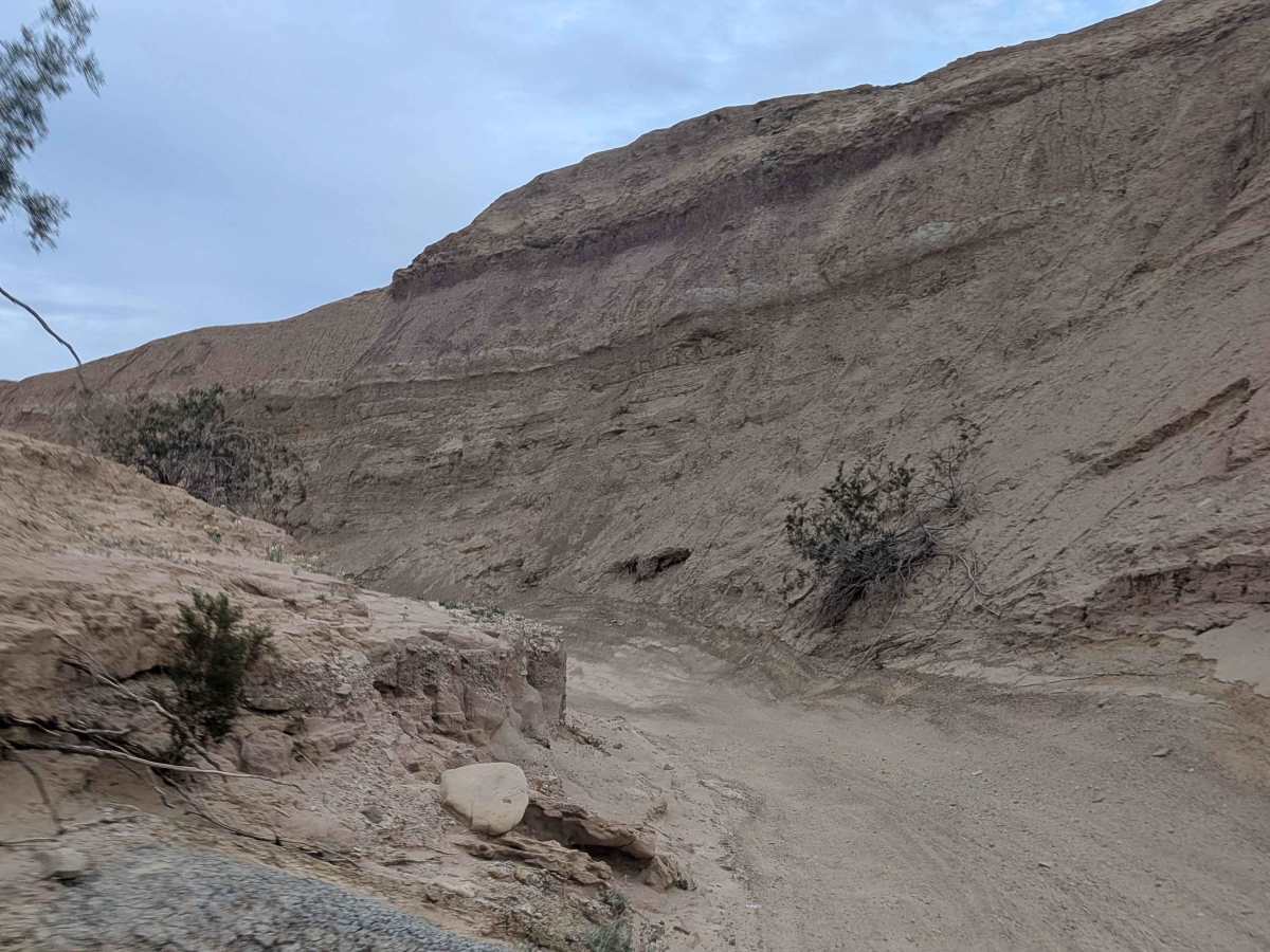 BLM 173 photo 5