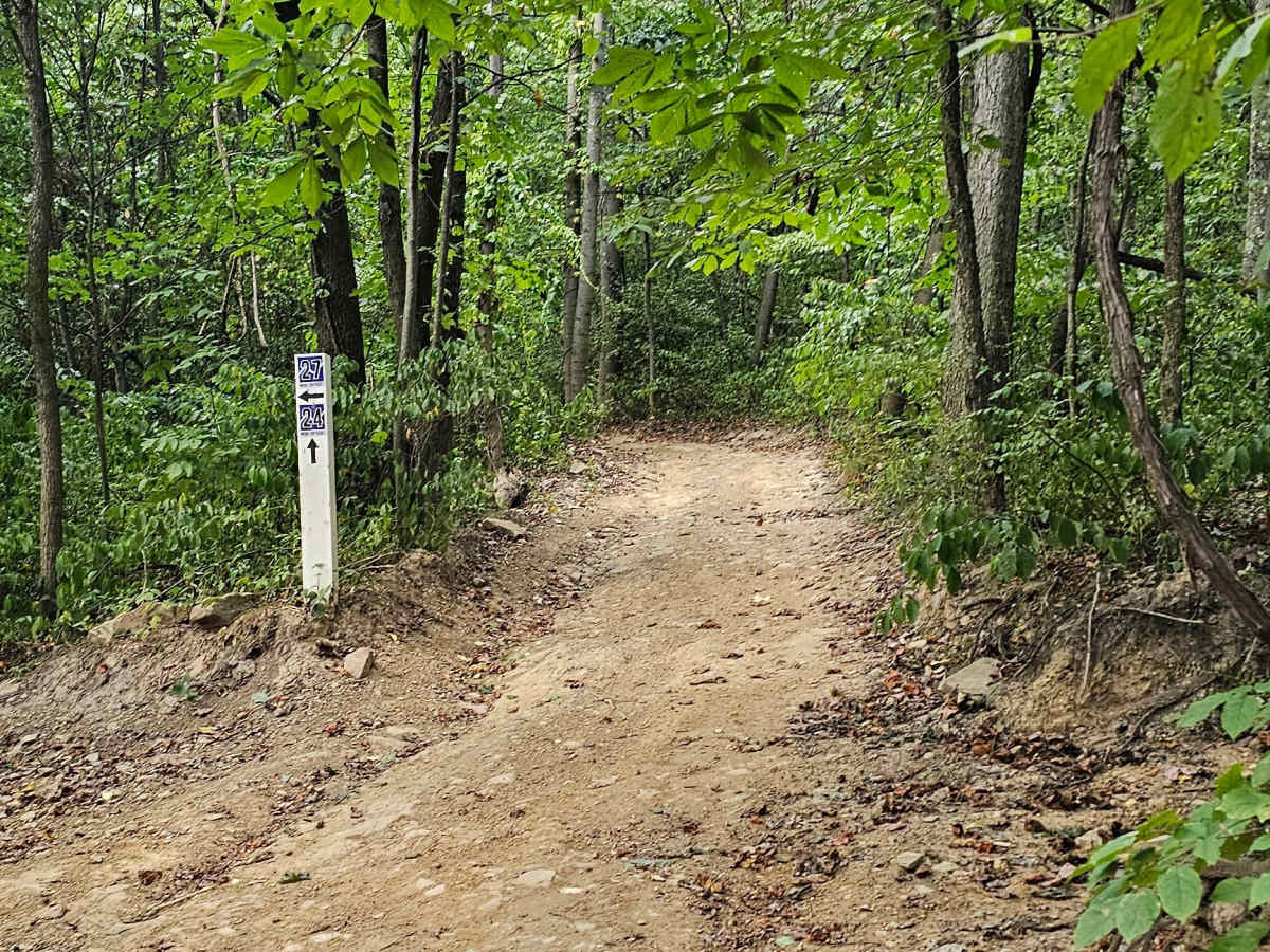 Trail 24  photo 2
