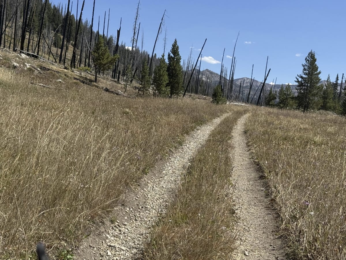 Valley Creek - FSR 4039 photo 4