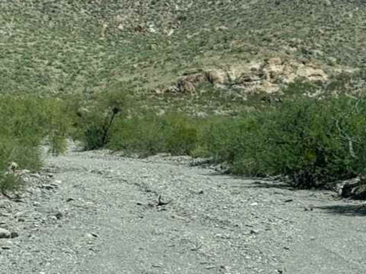 SS1167 photo 2