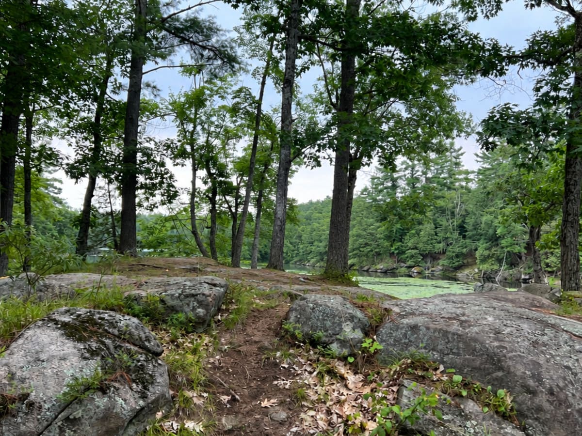 Havelock Belmont Trail photo 2