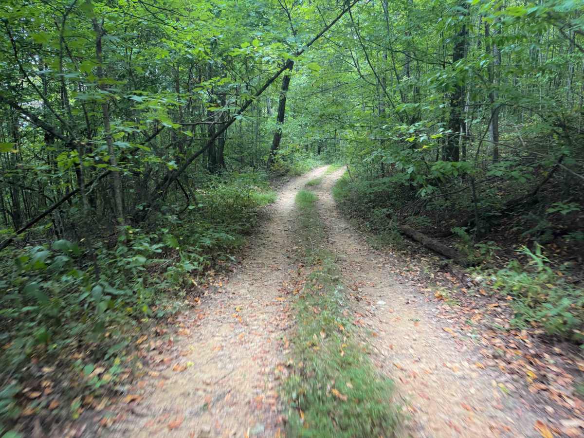 Signal Mountain Trail 29   photo 5