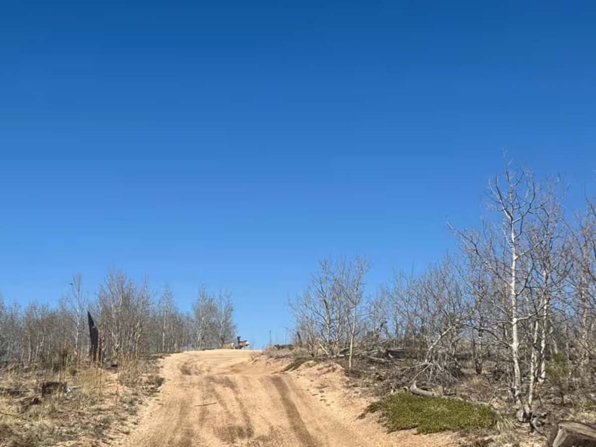 Predator Road photo 2